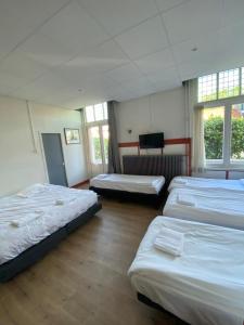 een kamer met 4 bedden en ramen bij CoronaZeist-Utrecht NL in Zeist