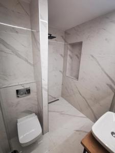 Koupelna v ubytování SPA Apartment Vito