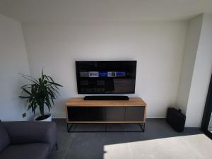TV a/nebo společenská místnost v ubytování SPA Apartment Vito