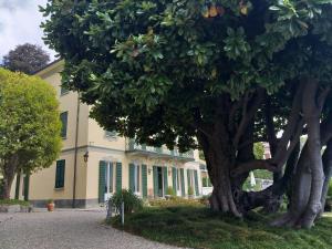 Zahrada ubytování Villa La Mirabella