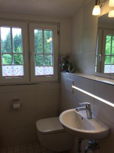 Phòng tắm tại Ferienhaus Gasthof Kanzlersgrund