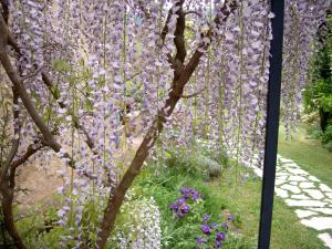 A garden outside Agriturismo Apparita