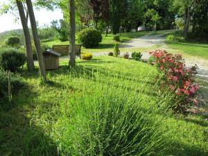 A garden outside Agriturismo Apparita