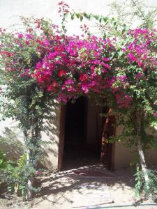un bouquet de fleurs roses suspendu à une porte dans l'établissement Nour El Gourna, à Louxor