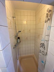 een badkamer met een douche, toilet en wastafel bij Monteurswohnung Zimmerfrei Marktheidenfeld in Marktheidenfeld +32 foto's