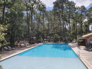 a swimming pool with trees in the background at Airial du Seignanx in Ondres