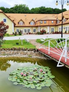 a pond with a bunch of lily pads and a bridge at Hotel Magnat in Ostrowiec Świętokrzyski