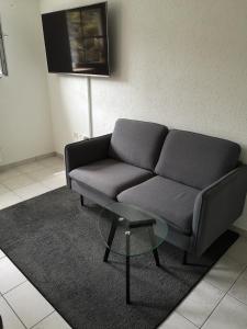 a couch and a table in a living room at Ferienapartment "Vier Pfoten" in Korbach in Korbach
