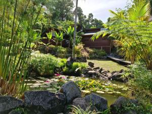 einen Teich in einem Garten mit Felsen und Pflanzen in der Unterkunft Les Bananes Vertes in Saint-Claude