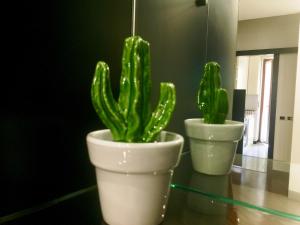 two potted plants sitting on top of a table at SAY YES MILANO CITY LIFE in Milan