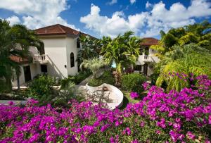 a garden with pink flowers in front of a house at BELLAMARE in Virgin Gorda