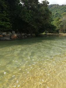 a large body of water with trees in the background at Rainbow Tioman Cottage in Kampong Juara