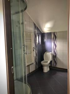 La salle de bains est pourvue de toilettes et d'une douche en verre. dans l'établissement Casa Paunescu, à Miloştea
