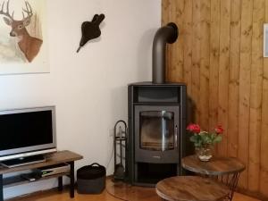 Telewizja i/lub zestaw kina domowego w obiekcie Haus Holunder Weissbriach