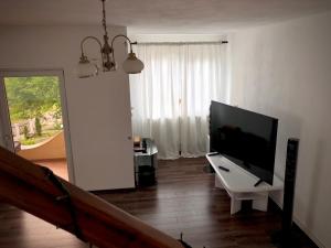 TV a/nebo společenská místnost v ubytování Casa Paunescu