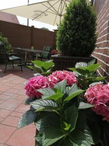 a bunch of pink flowers on a patio at Kleines Hotel Westhus in Dörpen
