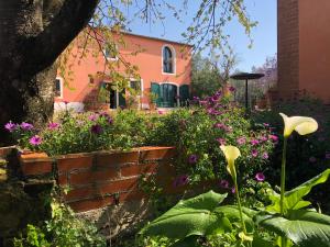 Zahrada ubytování Agriturismo Podere Marchiano