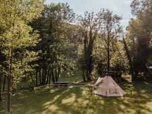 una tenda in mezzo a un campo alberato di Robinson camp Kupa - Juratovićki brig a Netretić Altre 35 foto
