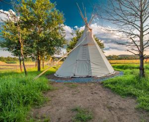ein weißes Tipi-Zelt auf einem Feld mit Bäumen in der Unterkunft Residence Safari Resort - Teepee Village in Borovany