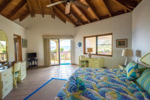 a bedroom with a bed and a desk and a television at LOBLOLLY in Virgin Gorda