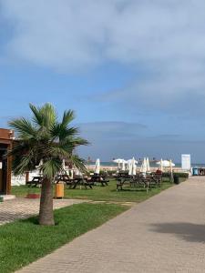 uma palmeira sentada ao lado de um parque com mesas de piquenique em Blanca Beach vue latérale sur mer, avec wifi em Sidi Rahal