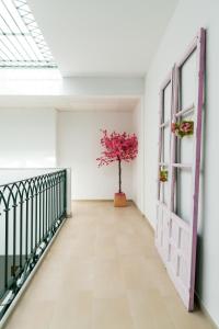 Fotografie z fotogalerie ubytování OleHousing-San Lorenzo v destinaci Seville
