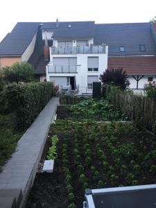 einen Garten vor einem Haus mit einem Gebäude in der Unterkunft Ferienwohnungen Weiherhausstraße 6 in Herten
