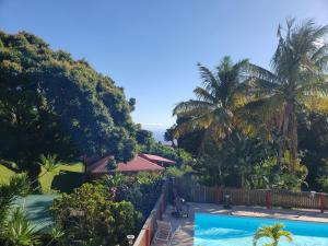 a resort with a swimming pool and palm trees at Les Bananes Vertes Ecolodges in Saint-Claude