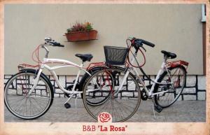 B&B La Rosa tesisinde veya etrafında bisiklete binme