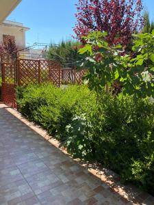 a garden with green bushes and a fence at CASA GARIBALDI 162 in Leverano