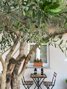 Fotografie z fotogalerie ubytování Casa Langhe v destinaci Roddi