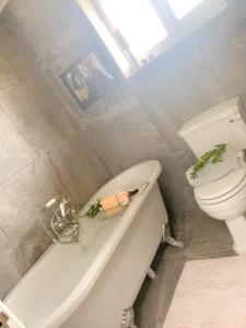 a bathroom with a toilet and a bathtub with plants in it at Boundary Cottage in Middleton