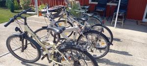 Jazda na bicykli v okolí ubytovania Idill Üdülőház 2