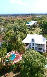 an aerial view of a house with a swimming pool at Ocean View Sai in San Andrés