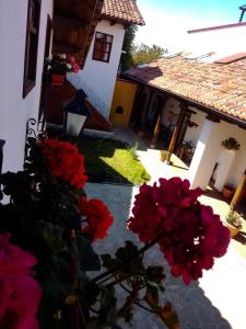 a group of red flowers in front of a building at Casa Tequio in San Cristóbal de Las Casas