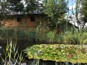 a pond with flowers and a house in the background at Ausseer Chalet (nahe Hallstatt), Appartements in Bad Aussee