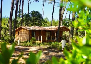una cabaña de madera en el bosque con árboles en Airial du Seignanx, en Ondres