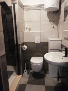 een kleine badkamer met een toilet en een wastafel bij Apartments Ivana in Postira