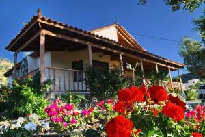 Zahrada ubytování Villa Sofita