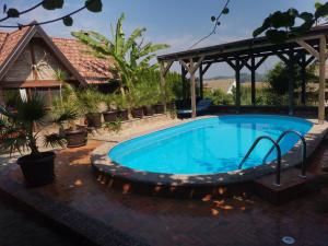 a swimming pool in a garden with a gazebo at Villa Palma in Aljmaš