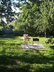 Zahrada ubytování Home Jurmala