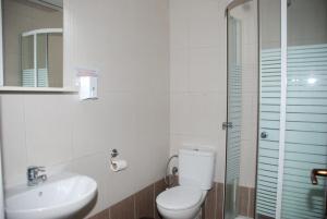 a bathroom with a toilet and a sink and a shower at VILA NIKOLETA in Ierissos +45 photos