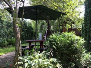 Gallery image of Usadba Bilya Richky in Skole +44 photos