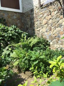 Gallery image of Usadba Bilya Richky in Skole