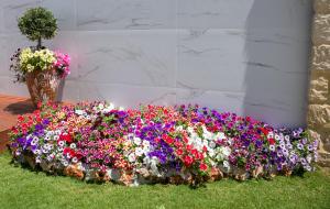 a large flower bed of flowers in front of a wall at Paradice Hotel Luxury Suites-Near zorbas Beach-FREE Breakfast in Stavros