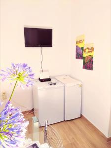 Pokój z lodówką i telewizorem na ścianie w obiekcie Cofineta Apartment w Korfu +33 zdjęcia