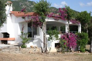 een wit huis met paarse bloemen en bomen bij Vacanza in Ogliastra in Tertenìa
