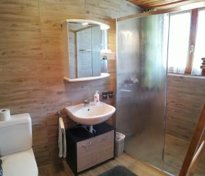 um banheiro com pia e chuveiro em Chalet Hedy Ferienwohnung em Grächen
