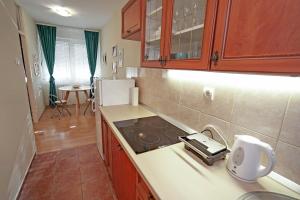 Kuchyň nebo kuchyňský kout v ubytování Apartment Elvis + 11 fotografií