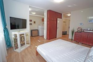 TV a/nebo společenská místnost v ubytování Apartment Elvis
